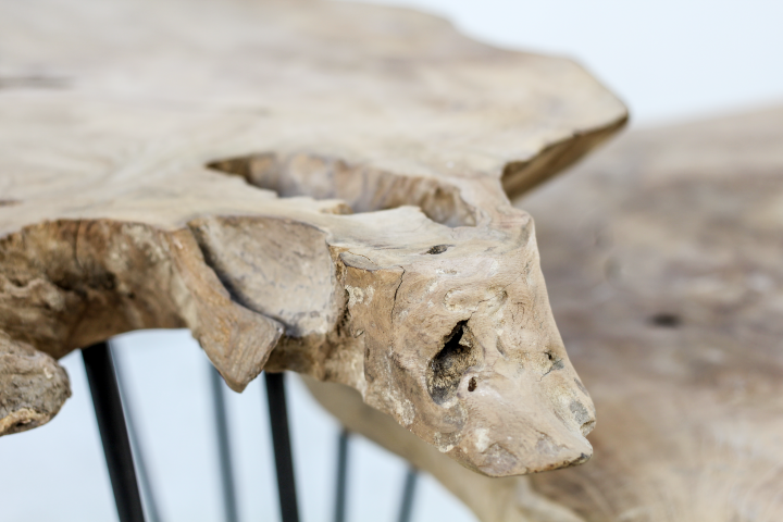 Sohvapöytä Root 9055 - Image 4