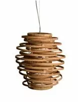 Rottinkinen Kattovalaisin Kubu